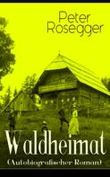 Peter Rosegger: Waldheimat (Autobiografischer Roman) 