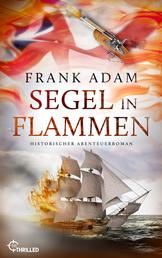 Segel in Flammen - Historischer Abenteuerroman