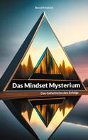 Bernd Friedrich: Das Mindset Mysterium 