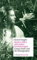 Bernd Stiegler: Spuren, Elfen und andere Erscheinungen 