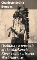Charlotte Selina Bompas: Owindia : a true tale of the MacKenzie River Indians, North-West America 