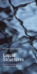 Liquid Structures - Auf dem Weg in die narzisstische Gesellschaft