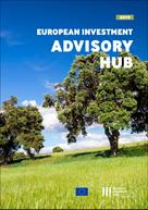 European Investment Bank: European Investment Bank Annual Report 2019 on the European Investment Advisory Hub 