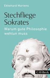 Stechfliege Sokrates - Warum gute Philosophie wehtun muss