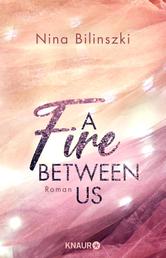 A Fire Between Us - Roman
