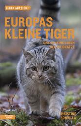 Europas kleine Tiger - Das geheime Leben der Wildkatze