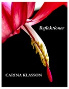 Carina Klasson: Reflektioner 