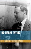 F. Scott Fitzgerald: No Harm Trying 