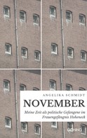 Angelika Schmidt: November ★★★★