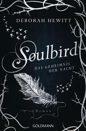 Soulbird - Das Geheimnis der Nacht - Roman