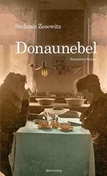 Donaunebel - Historischer Roman
