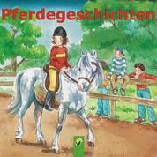 Pferdegeschichten - Zwölf Kindergeschichten rund um das Thema Pferde