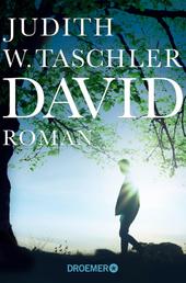 David - Roman
