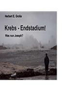 Herbert E. Große: Krebs-Endstadium! Was nun Joseph? 