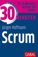 Jürgen Hoffmann: 30 Minuten Scrum ★★★★