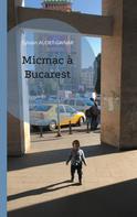 Sylvain Audet-Gainar: Micmac à Bucarest 