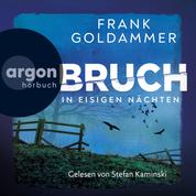 Bruch - In eisigen Nächten - Felix Bruch, Band 2 (Ungekürzte Lesung)