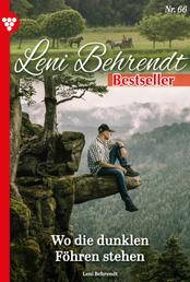 Leni Behrendt Bestseller 66 – Liebesroman - Wo die dunklen Föhren stehen