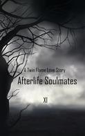 XI: Afterlife Soulmates 