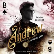 Andrew im Wunderland (Band 1) - Ludens City