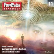 Stardust 11: Verwehendes Leben - Perry Rhodan Miniserie