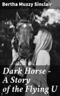 Bertha Muzzy Sinclair: Dark Horse - A Story of the Flying U 