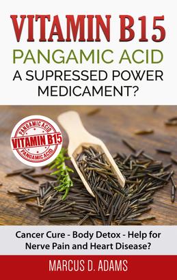 Vitamin B15 - Pangamic Acid: A Supressed Power Medicament?
