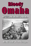 EK-2 Militär: Bloody Omaha 