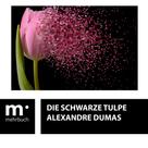 Alexandre Dumas: Die schwarze Tulpe 