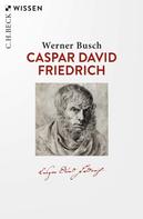 Werner Busch: Caspar David Friedrich 