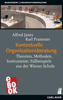 Alfred Janes: Kontextuelle Organisationsberatung 
