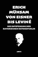 Erich Mühsam: Von Eisner bis Leviné 