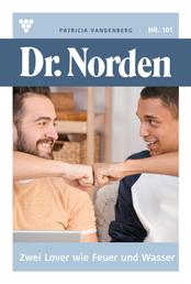 Dr. Norden 101 – Arztroman - Zwei Lover wie Feuer und Wasser