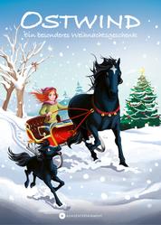 OSTWIND - Ein besonderes Weihnachtsgeschenk - Pferdegeschichten für Leseanfänger ab 6 Jahren