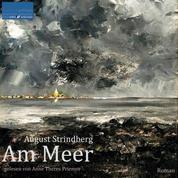 Am Meer - Roman von August Strindberg