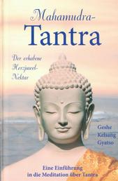 Mahamudra Tantra - Eine Einführung in tantrische Meditation