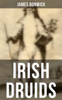 James Bonwick: Irish Druids 