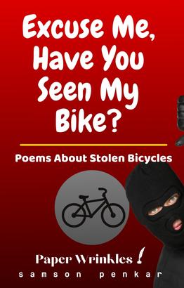 Excuse Me, Have You Seen My Bike?